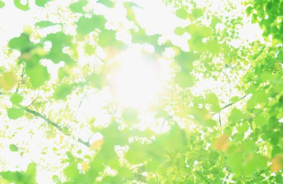 熊本県山鹿市のエアコンクリーニングはリノハンズにお任せ！熊本のエアコンクリーニング専門業者